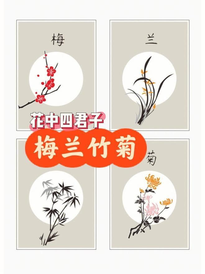 古人为什么喜欢画梅、兰、竹、菊？花中四君子，究竟有何魅力？