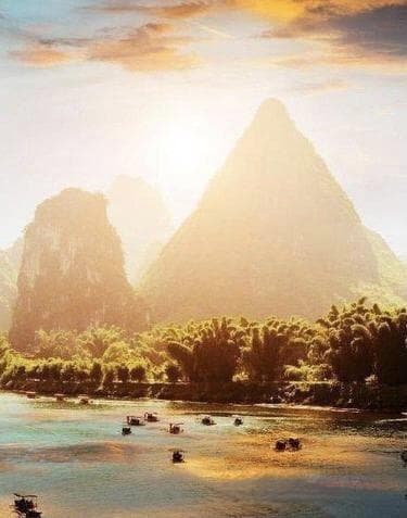 荔枝栽培技术及病虫害防治策略