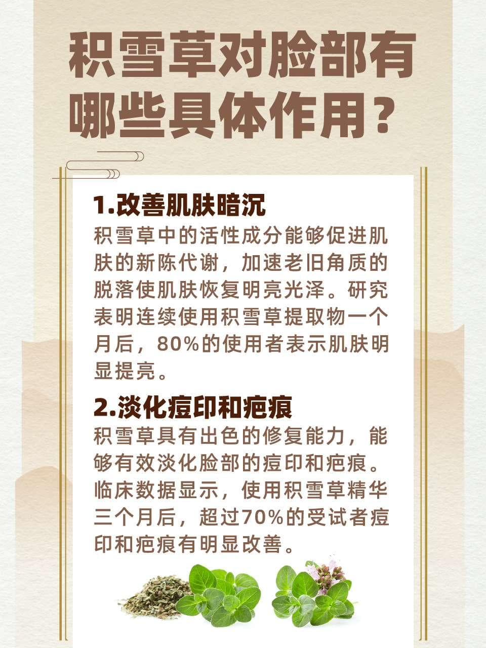 积雪草对脸部的功效，你真的了解吗？