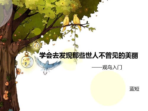 观鸟技巧-完整版