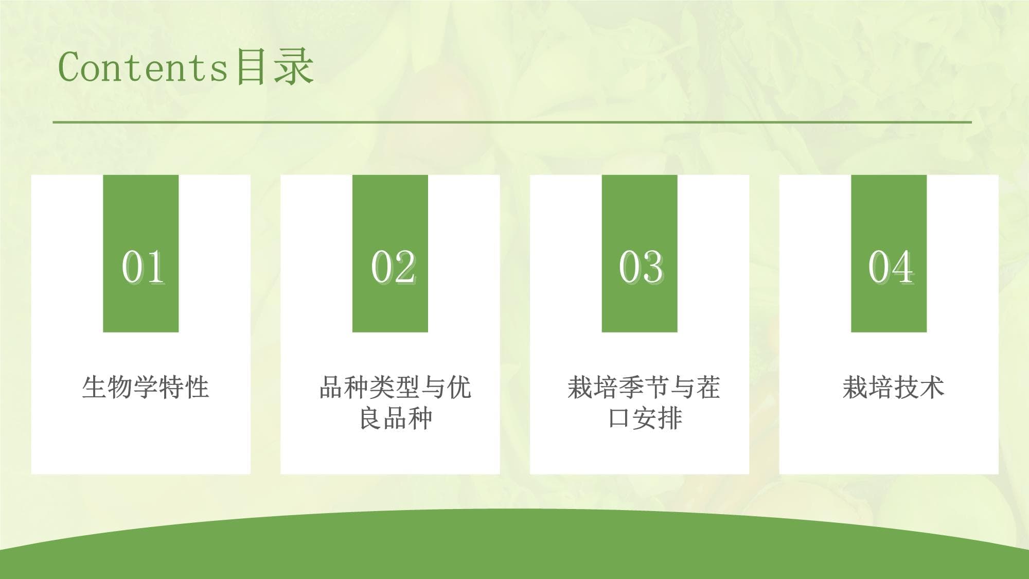 洋葱生产技术详解