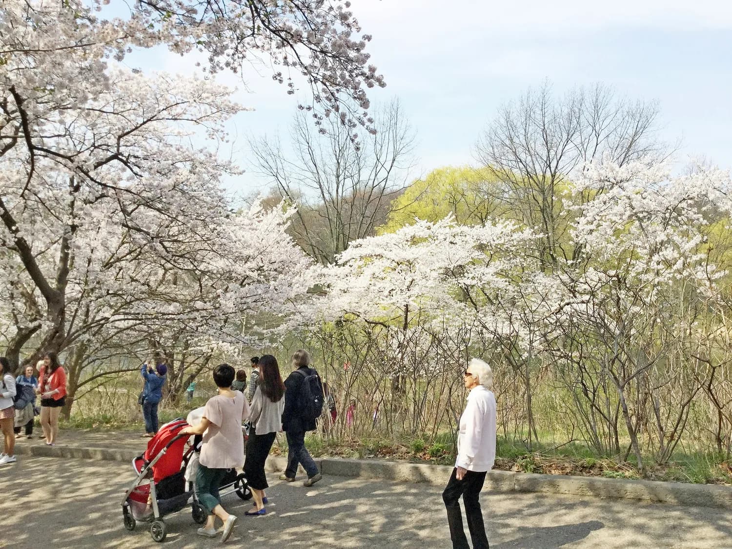 上海四季旅游攻略：避开这些坑，玩得更尽兴！