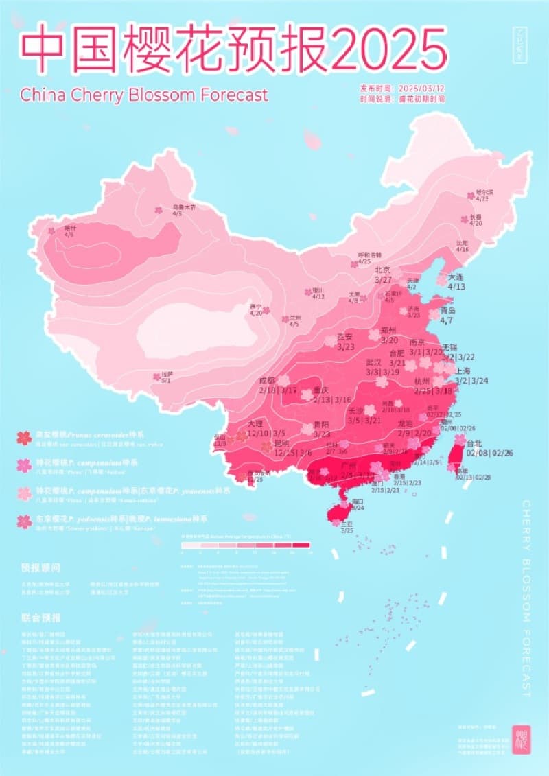 如何get赏樱最佳“姿势”？《中国樱花预报2025》来“支招”！