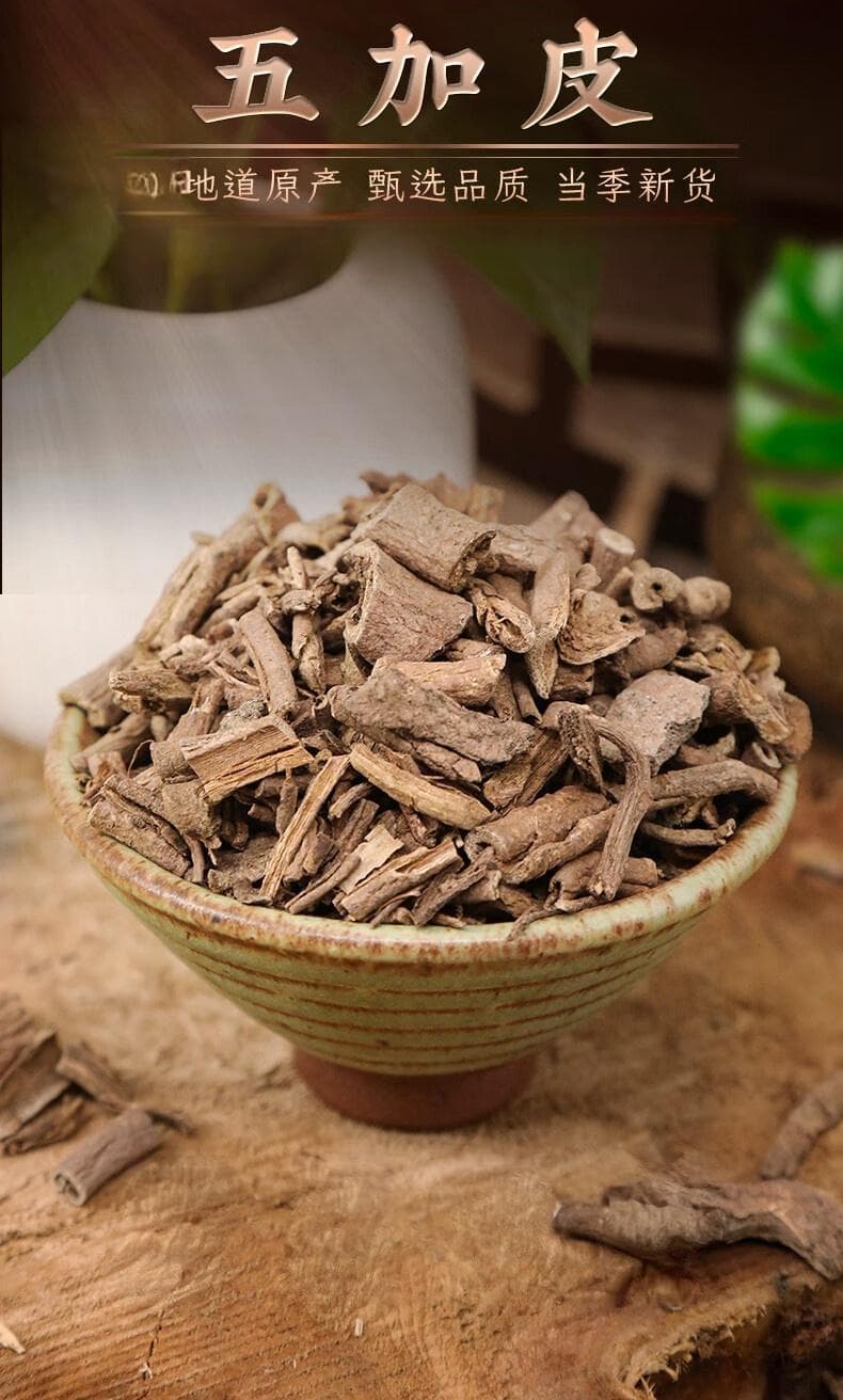 五加皮：传统中药的多重功效与现代药理研究