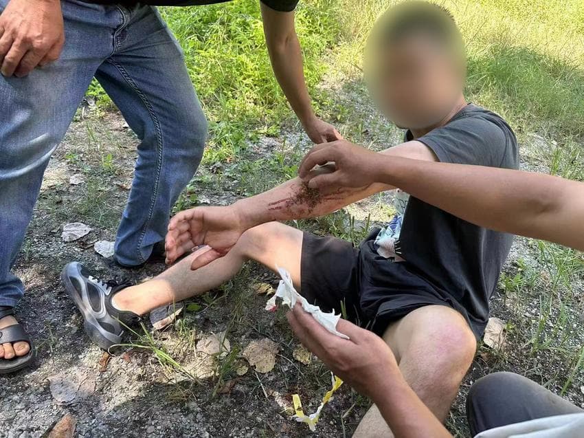 “捕兽电网致人死亡”引关注，私设电网有多危险？