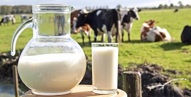乳制品行业现状分析：2025年能否迎来供需平衡拐点？