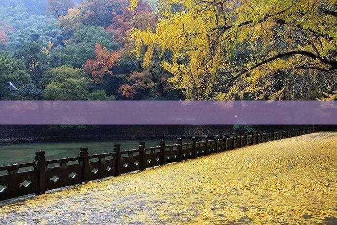淄博至西藏自驾游攻略：路线、装备、注意事项一站式指南