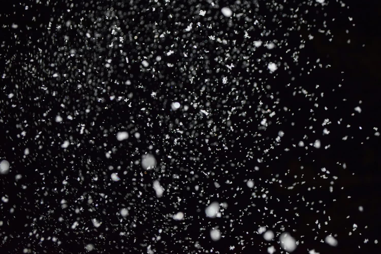 雪花VS梨花：谁才是冬日最美？