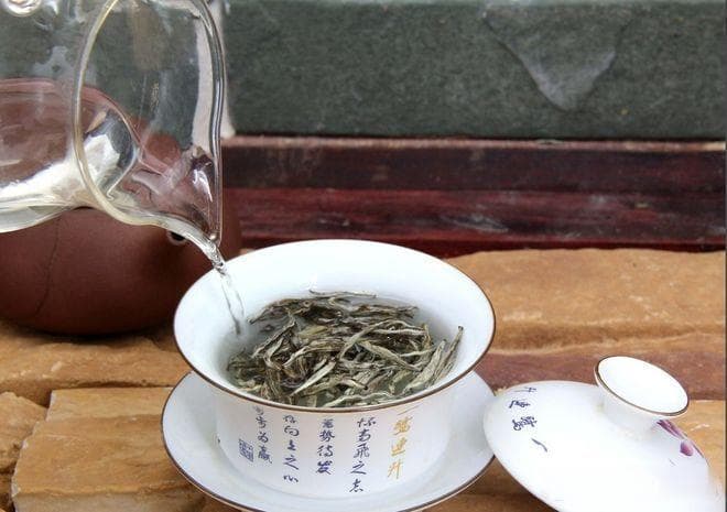 福鼎白茶怎么喝才正确方法？