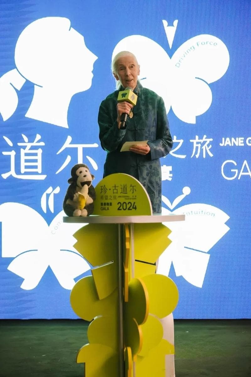 一周艺术人物｜珍·古道尔行走中国，昆斯谈人工智能