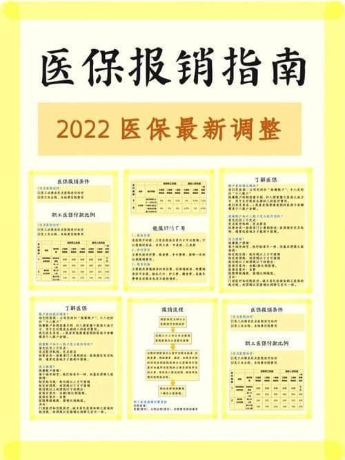 公务员医疗补助报销：详细指南与注意事项