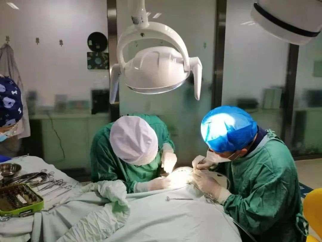 种植牙也要集采了？一颗 3500，一地医保局约谈供应商