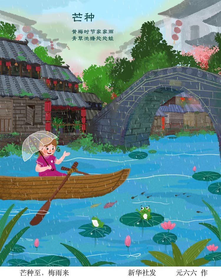芒种节气养生须防上火和内生湿热