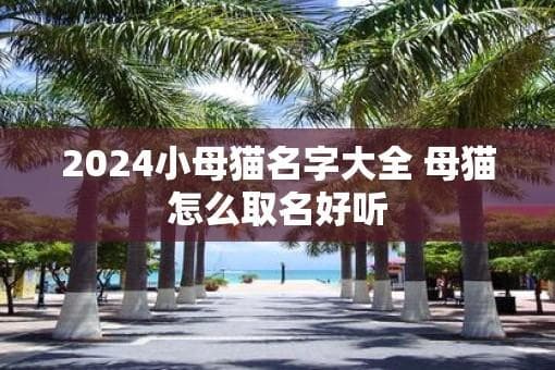 2024年小母猫取名全攻略：10大主题百个精选名字