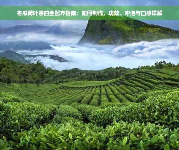 冬瓜荷叶茶的全配方指南：如何制作、功效、冲泡与口感详解