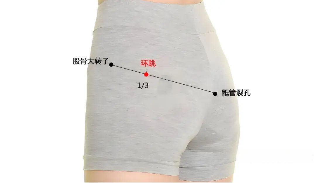 艾草锤使用全攻略：十二经络拍打时间、部位、方法详解