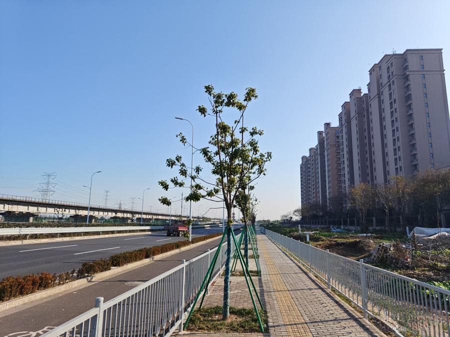 奉贤一小区临近铁路、国道，居民：不止“空隆隆”，还有“低频震动”