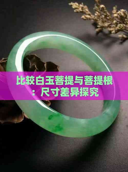 白玉菩提和菩提根：区别、特点及养护全解析