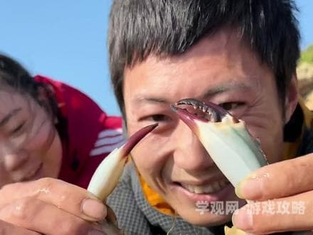 荒岛求生游戏，极端环境下的生存挑战与心理较量