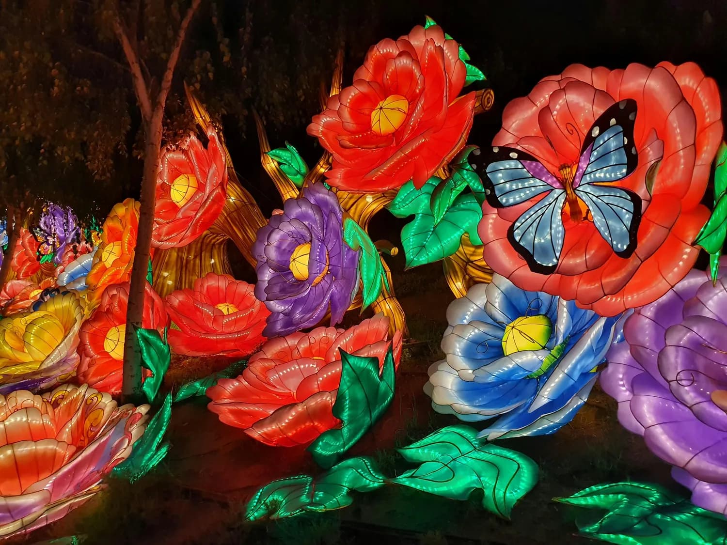 北京世园公园花灯节：无人机秀拍照攻略