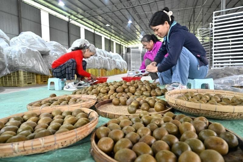 年终盘点：中医药产业并购重组潮涌动，国资、新势力加速入局