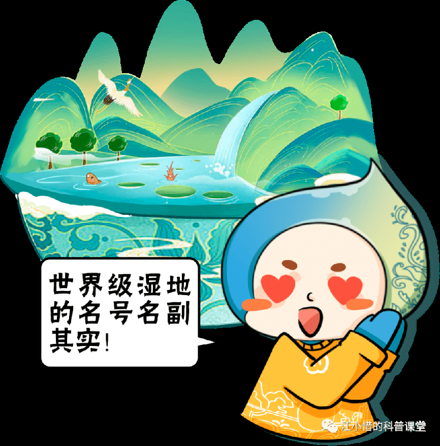 走进鄱阳湖湿地植物世界：从薹草到苦草，从生态平衡到危机挑战