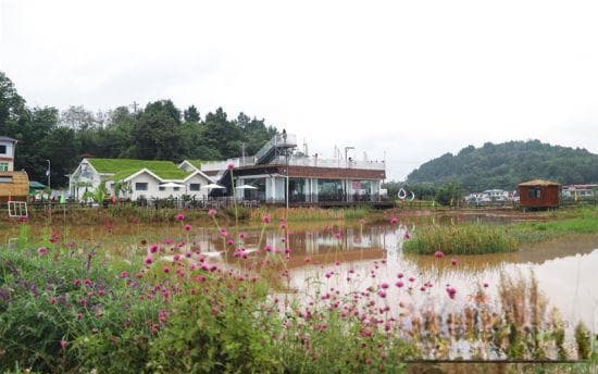 简阳市：奋力成为丘区乡村振兴示范