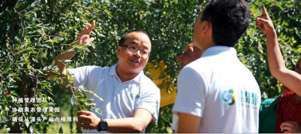 从张骞到疆果果：新疆美食文化的传承与创新