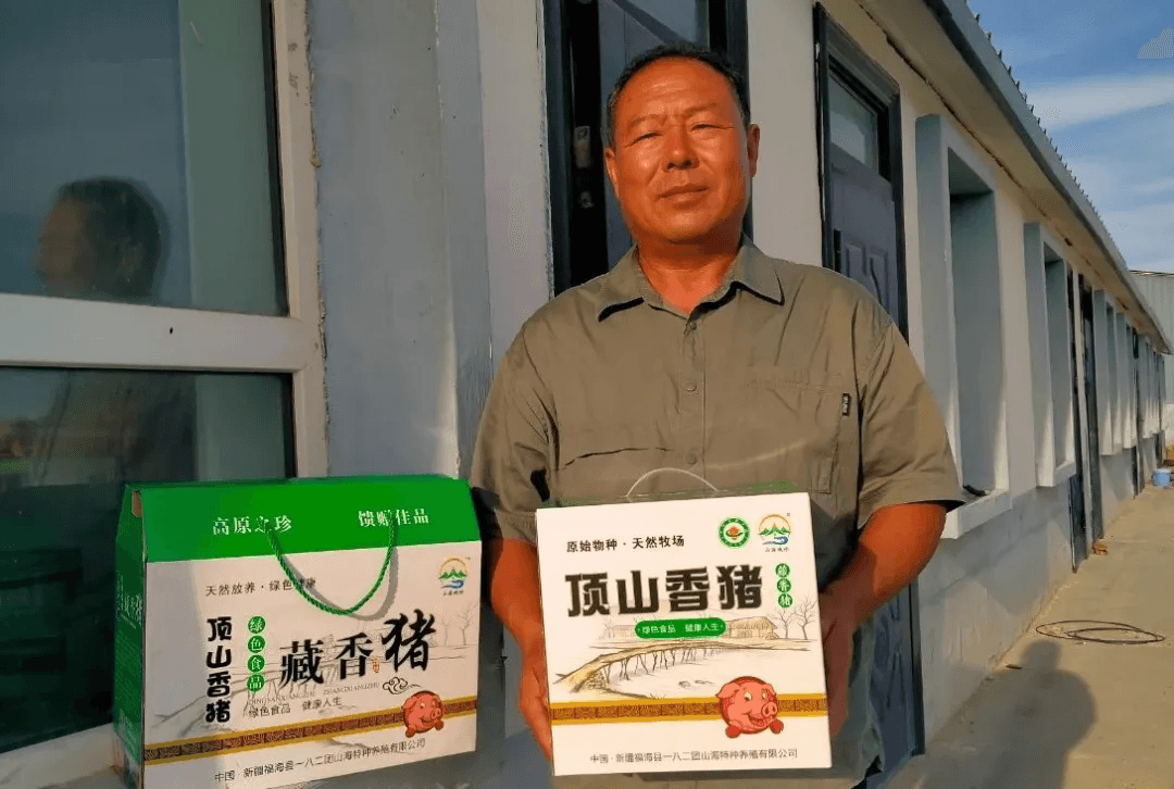 向阳：特色养殖藏香猪 “拱”出增收致富路
