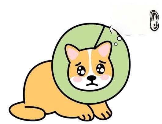 宠物急救：狗狗被虫叮咬后的用药指南