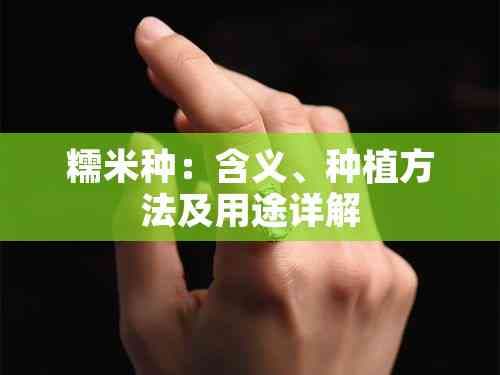糯米种：含义、种植方法及用途详解
