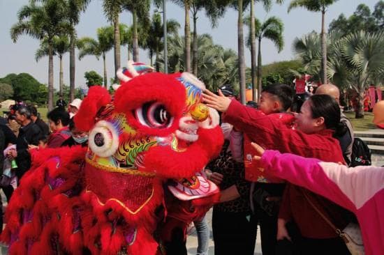 龙年新春 广西旅游实现“开门红”