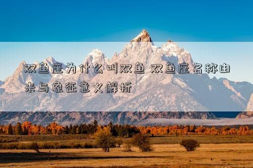 双鱼座为什么叫双鱼 双鱼座名称由来与象征意义解析