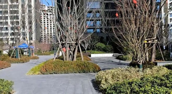 借助住房“以旧换新”政策 郑州市民添了44万元入住改善大三房