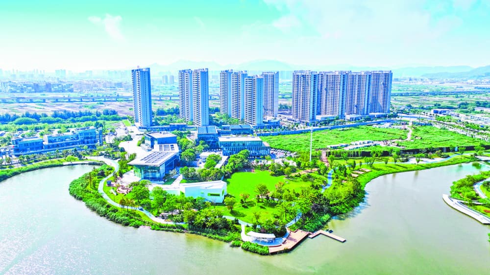 温州龙港常住人口5年增加8万 城市合伙人激活年轻的城