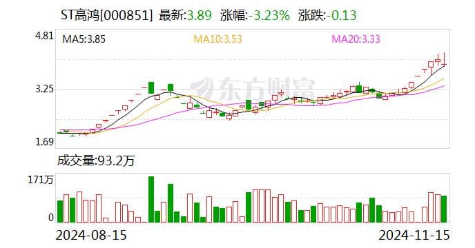 ST高鸿收到监管措施决定书 董事长付景林等被谈话