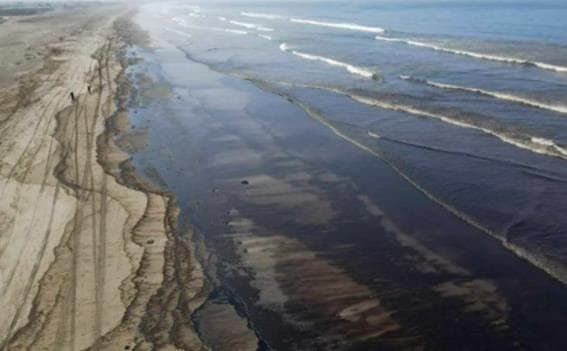 海洋石油泄露怎么办？吸油泡沫、花粉海绵“出手”，黑科技对抗生态灾难
