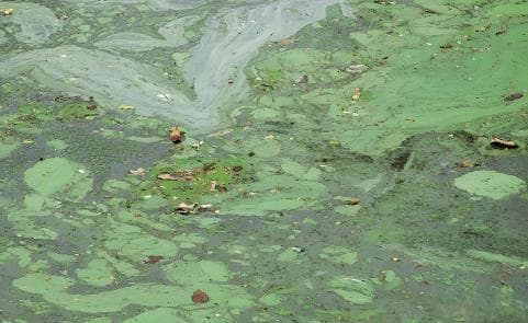 水中溶解氧定义、影响因素、控制及监测方法
