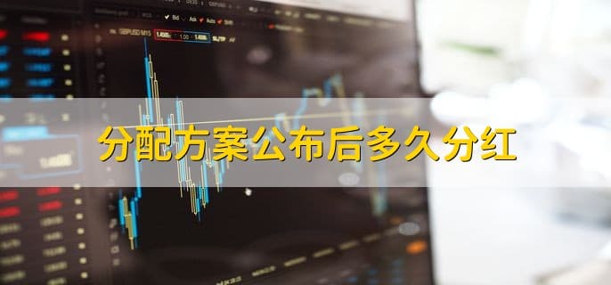 分配方案公布后多久分红，时间不确定
