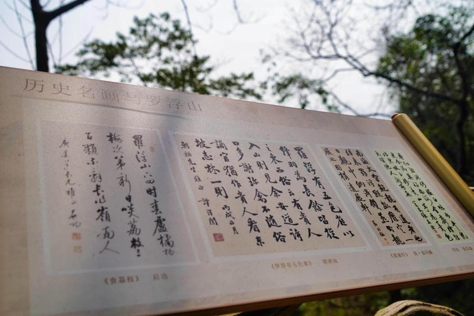 行于山水，读懂山水！罗浮山紫云步道升级文化标识牌