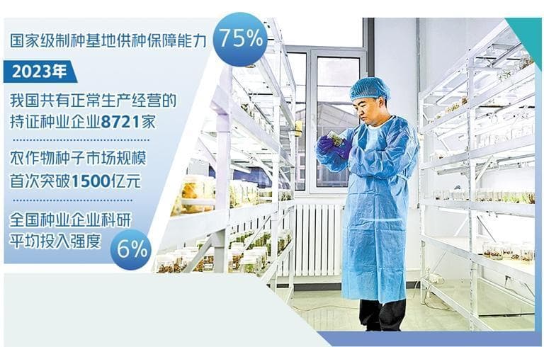 种业保障能力大幅提升