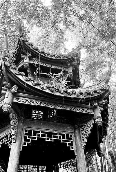 这座西南深山里的寺庙，为何颇得皇帝青睐