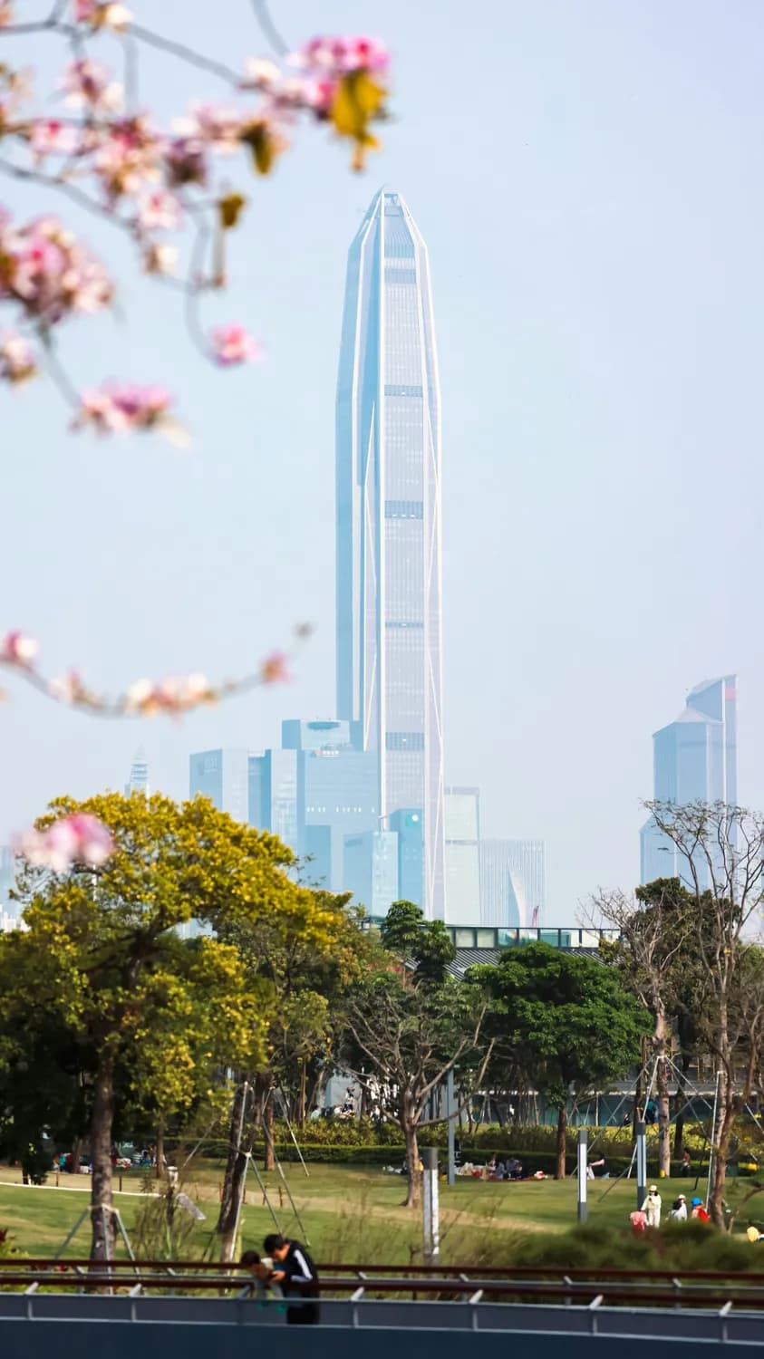 产业数字金融：助力地方经济高质量发展的新引擎