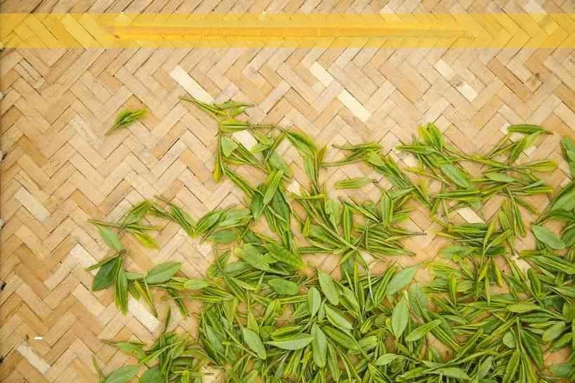 哪些人群不宜饮用红茶？全面解析红茶的适宜与禁忌人群