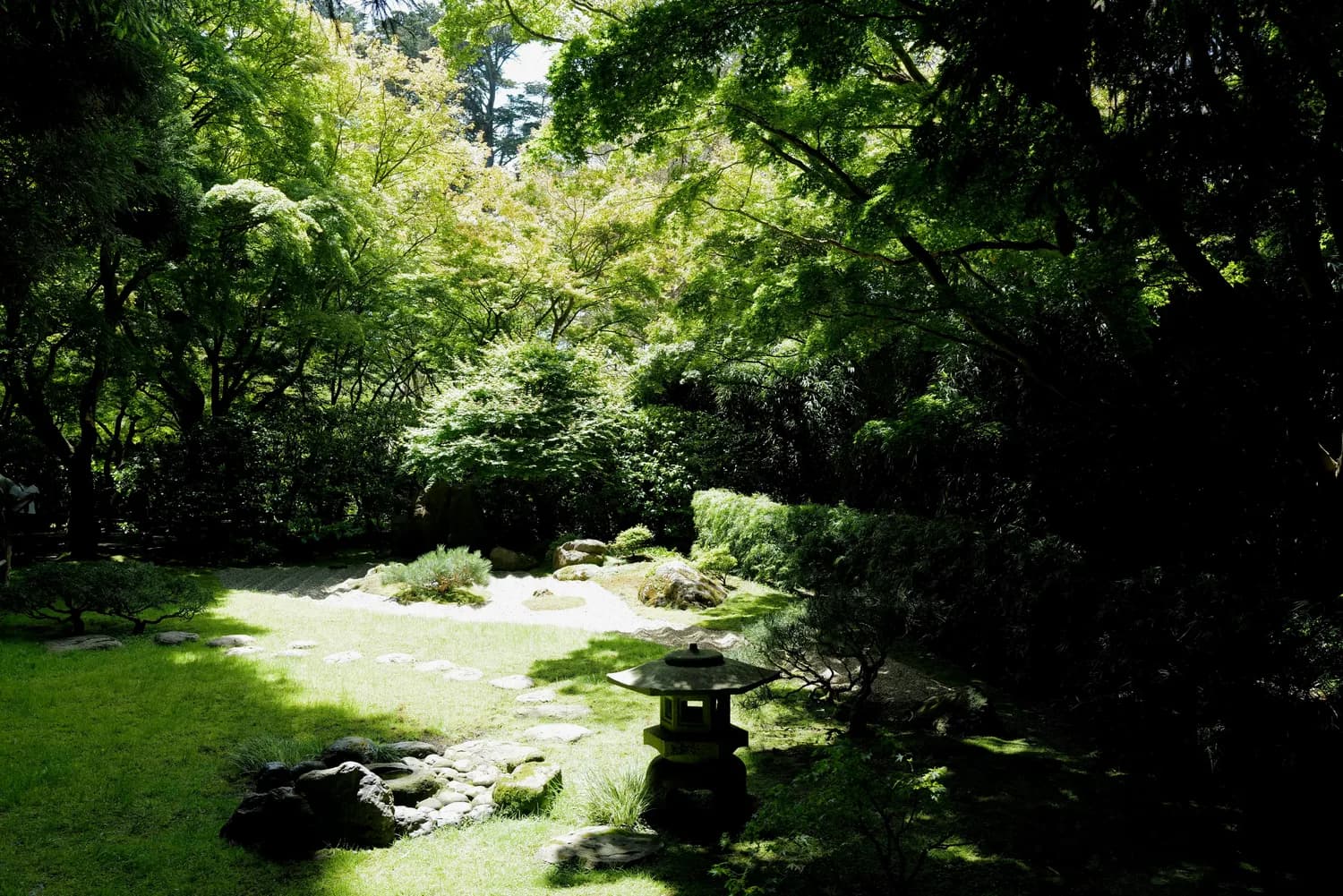 竖琴版《夏目友人帐》BGM：一首治愈心灵的温暖乐章