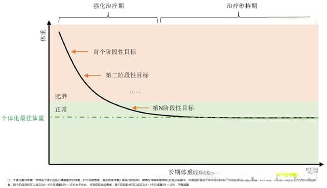 《肥胖患者长期体重管理指南》：科学解读体重管理新方案