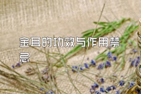 金耳的功效与作用禁忌