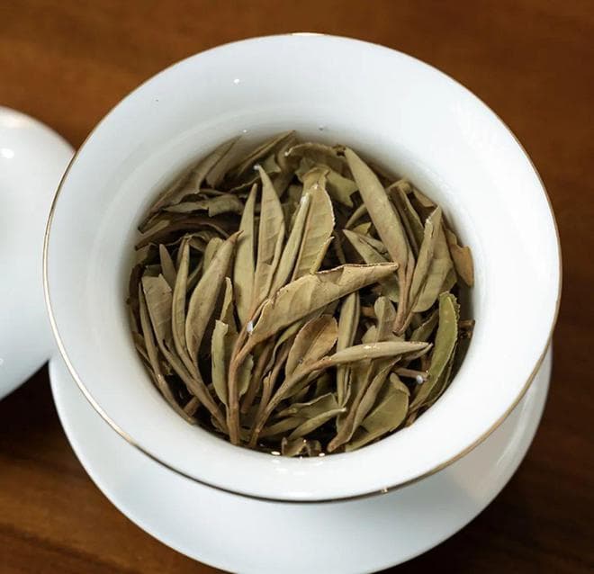 老白茶的“药性”，到底是真是假？一文为你深度解读！
