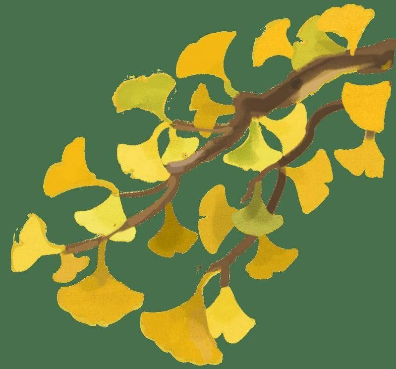 人见人怕的药界“苦味王”，竟是中药界的“阿司匹林”，清热燥湿，泻火解毒！