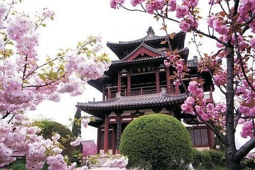 西安旅游旺季一般是几月份，西安旅游旺季 淡季是什么时候